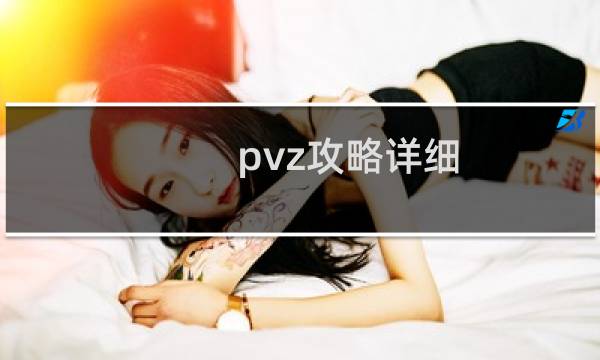 pvz攻略详细