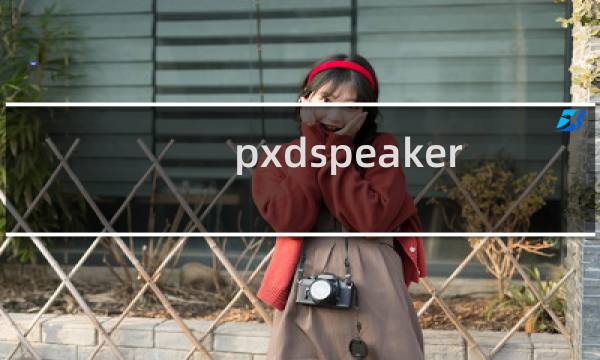 pxdspeakers 这个主机的IP是多少，我这边需要解析