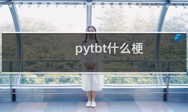 pytbt什么梗