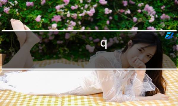 q 攻略
