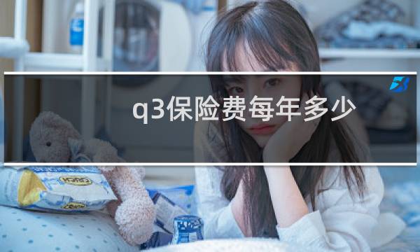 q3保险费每年多少