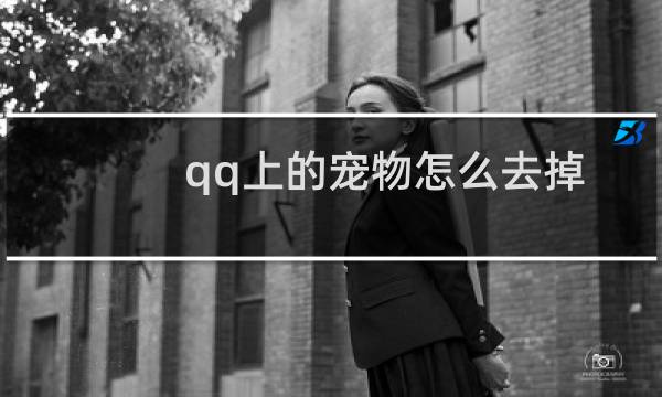 qq上的宠物怎么去掉