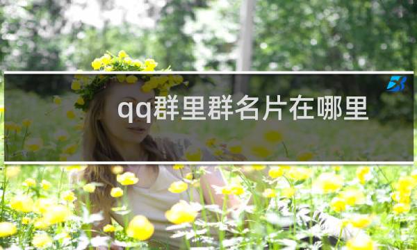 qq群里群名片在哪里