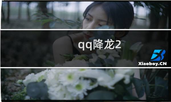 qq降龙2 攻略