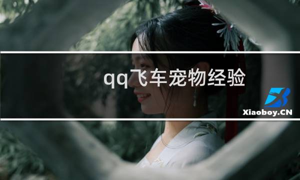 qq飞车宠物经验