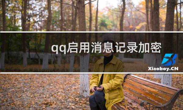 qq启用消息记录加密（QQ软件怎么开启消息记录加密的功能）图片