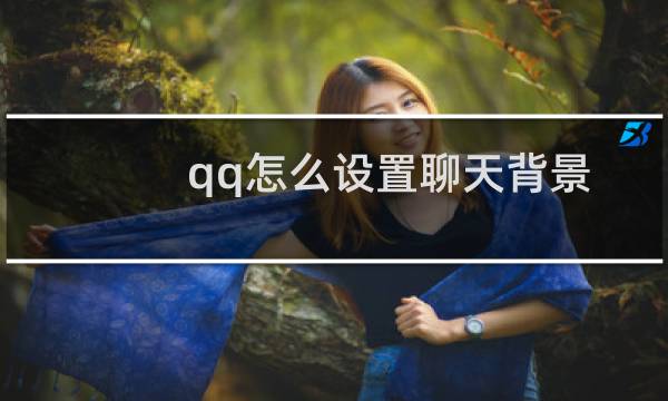 qq怎么设置聊天背景到所有人（qq怎么一次性私发所有人）图片