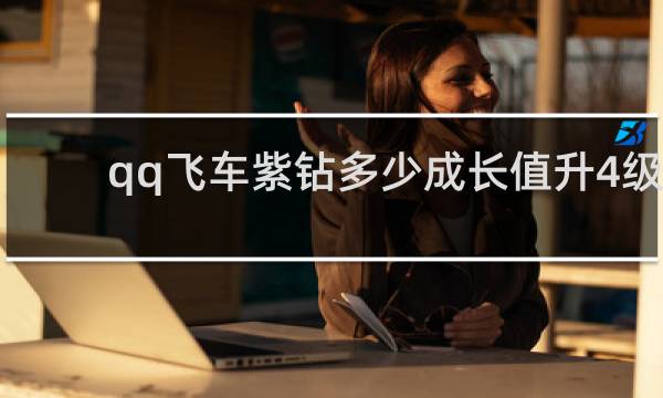 qq飞车紫钻多少成长值升4级