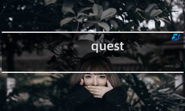 quest hunter 攻略
