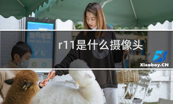 r11是什么摄像头