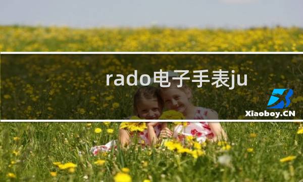 rado电子手表jubile多少钱（rado手表jubile怎么看型号）