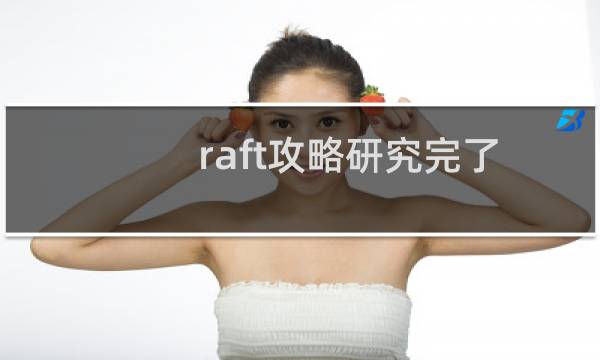 raft攻略研究完了