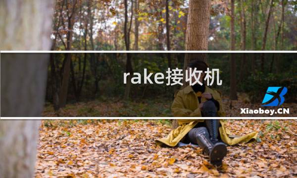 rake接收机