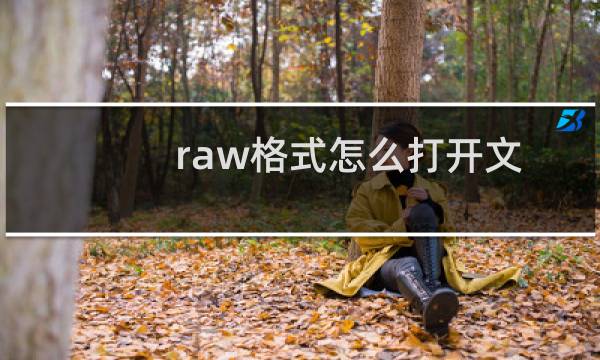 raw格式怎么打开文件（raw格式怎么打开）图片