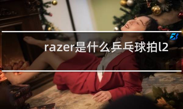 razer是什么乒乓球拍l2