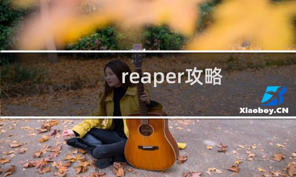 reaper攻略