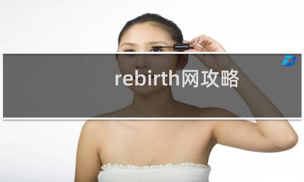 rebirth网攻略