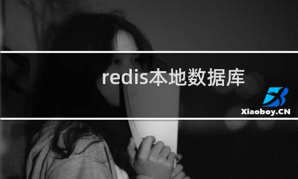 redis本地数据库