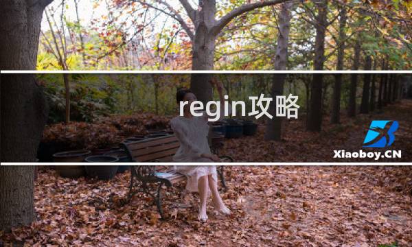 regin攻略