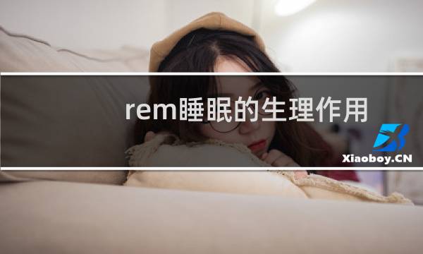 rem睡眠的生理作用