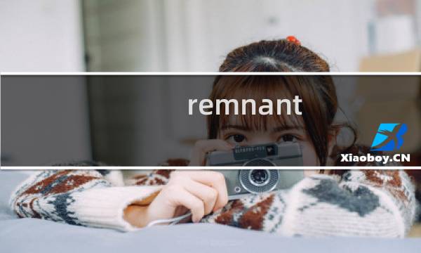 remnant steam攻略