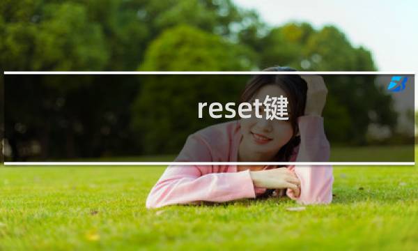 reset键：keylock指纹锁reset键介绍图片