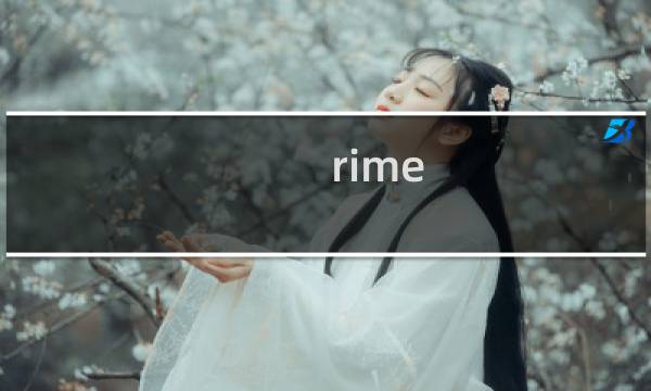 rime 视频攻略