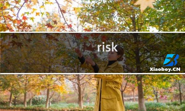 risk 游戏攻略