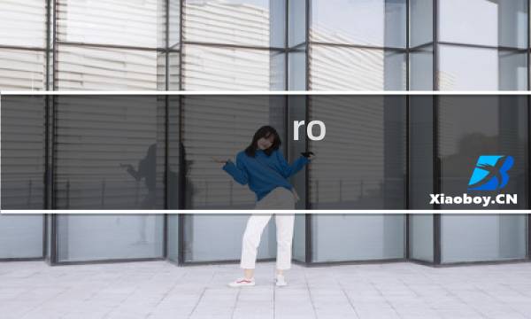 ro 公会 攻略