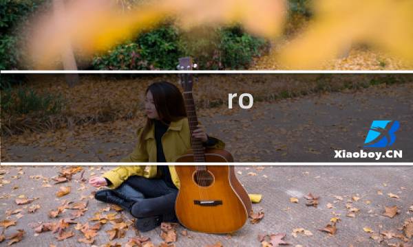 ro 公会副本 攻略