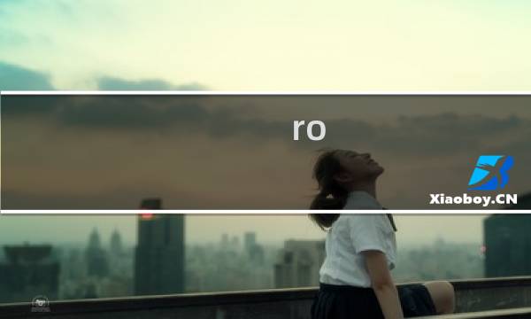 ro 刺客攻略 双刀