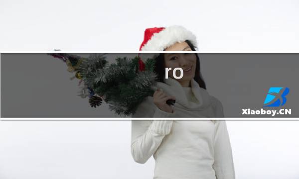 ro 刺客练级攻略