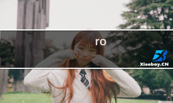 ro 加点攻略