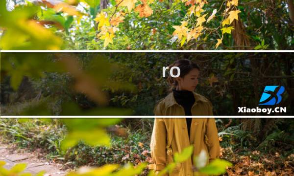 ro 北门 攻略