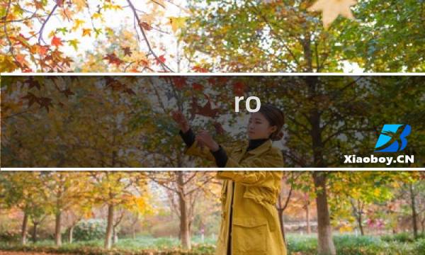 ro 武僧攻略