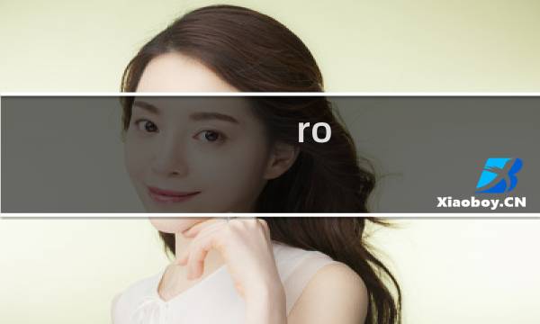 ro 游侠攻略