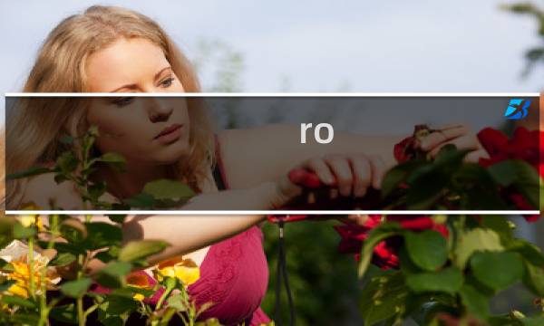 ro 珍藏品攻略