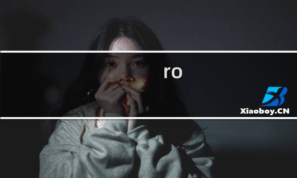 ro 雇佣兵 攻略