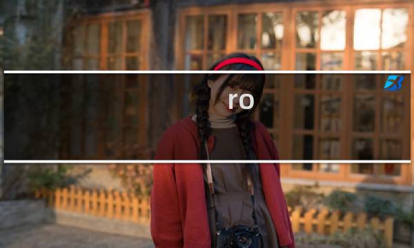 ro 黑暗之王攻略