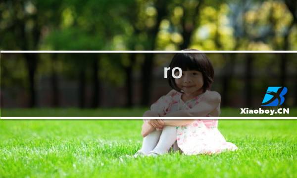 ro 1.5 攻略