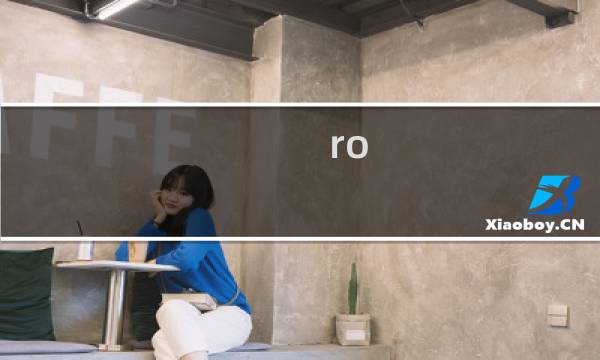 ro ace攻略