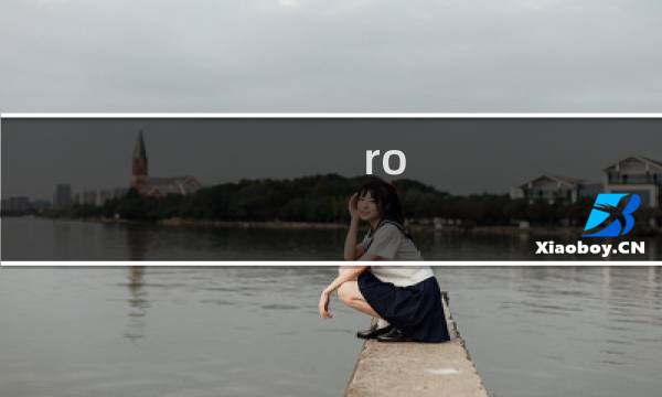 ro gvg攻略