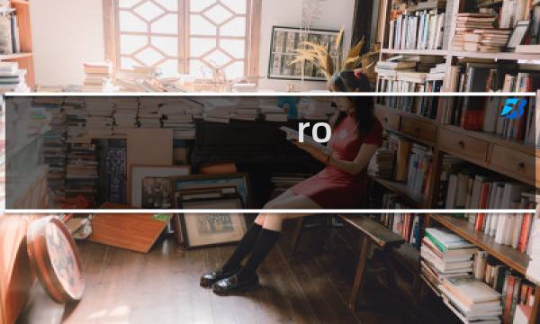 ro mini攻略