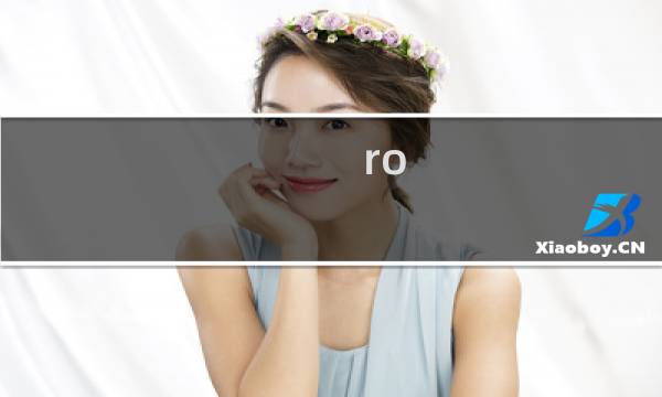 ro rk 攻略