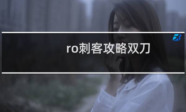 ro刺客攻略双刀