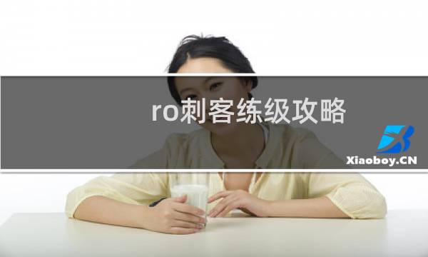 ro刺客练级攻略