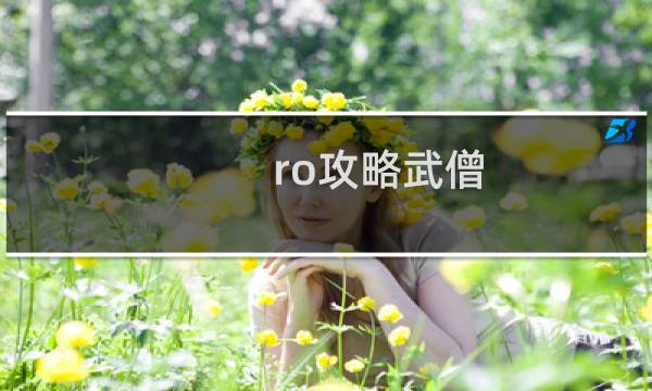 ro攻略武僧