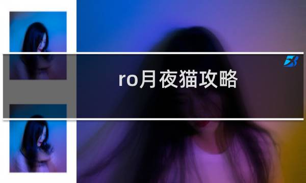 ro月夜猫攻略