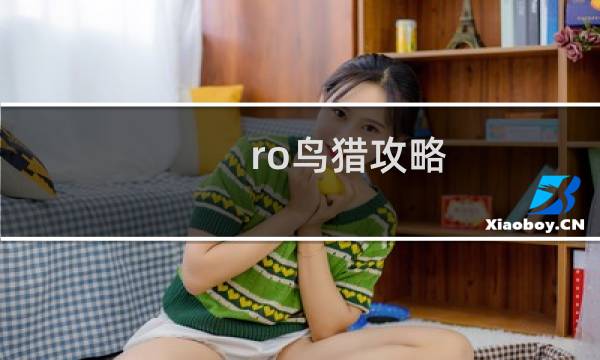 ro鸟猎攻略