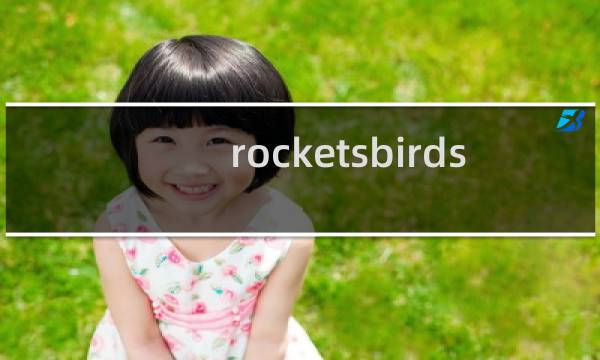 rocketsbirds 攻略